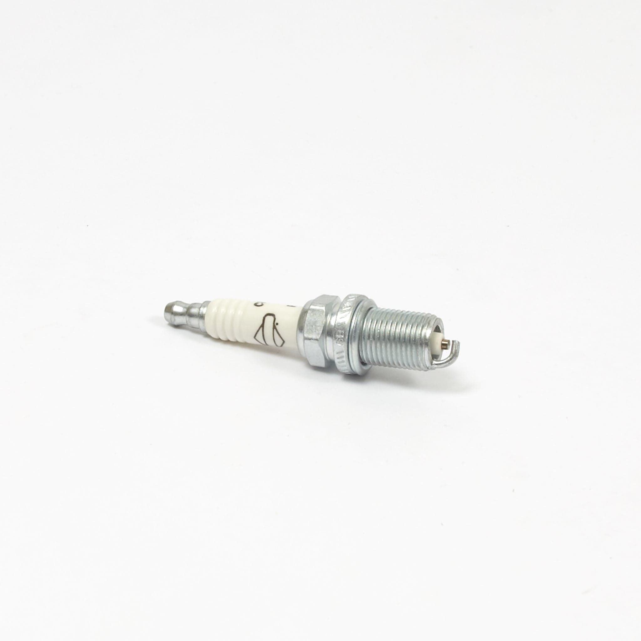 555737 PLUG-SPARK
