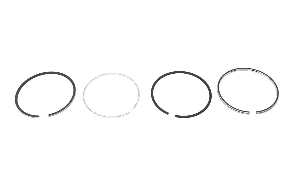 Ring Assembly