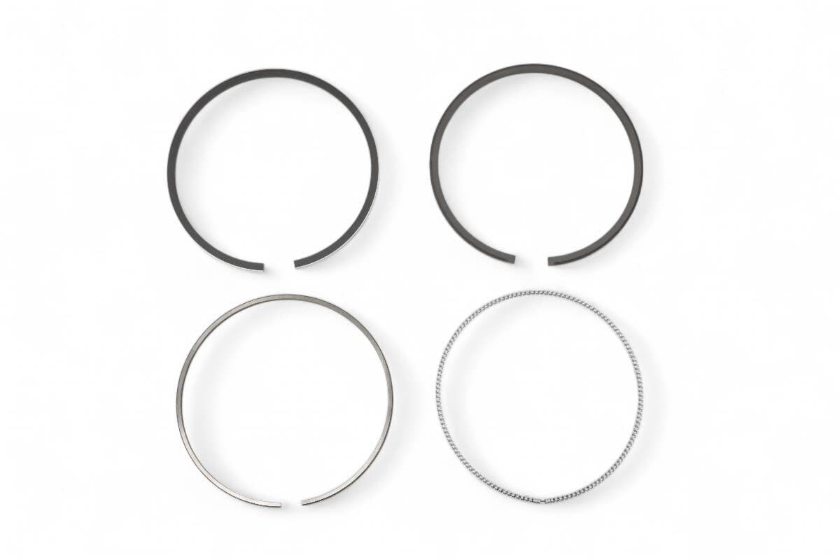 Ring Piston Assembly