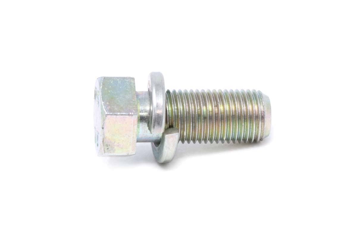 Bolt, W/Washer