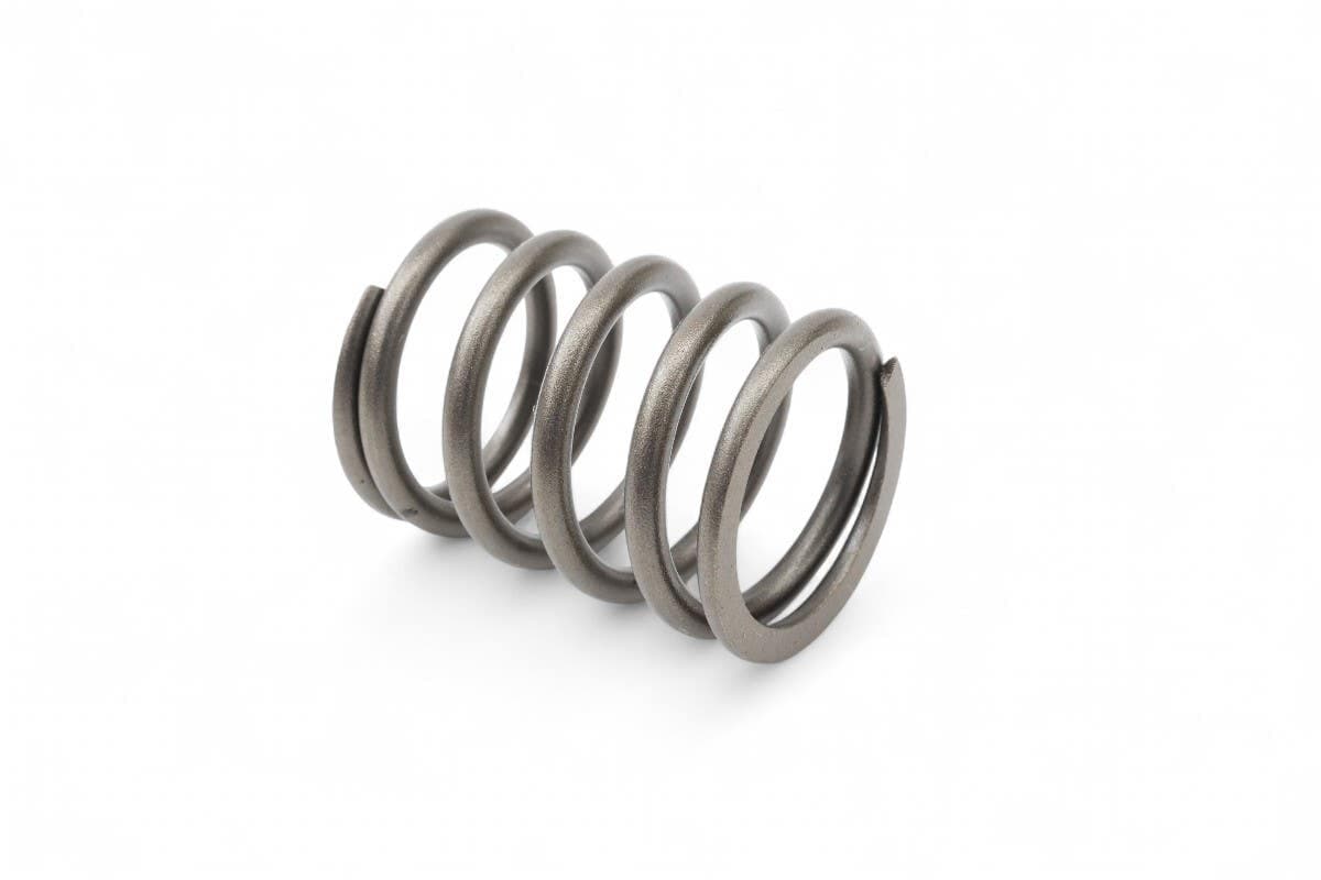 Spring Valve
