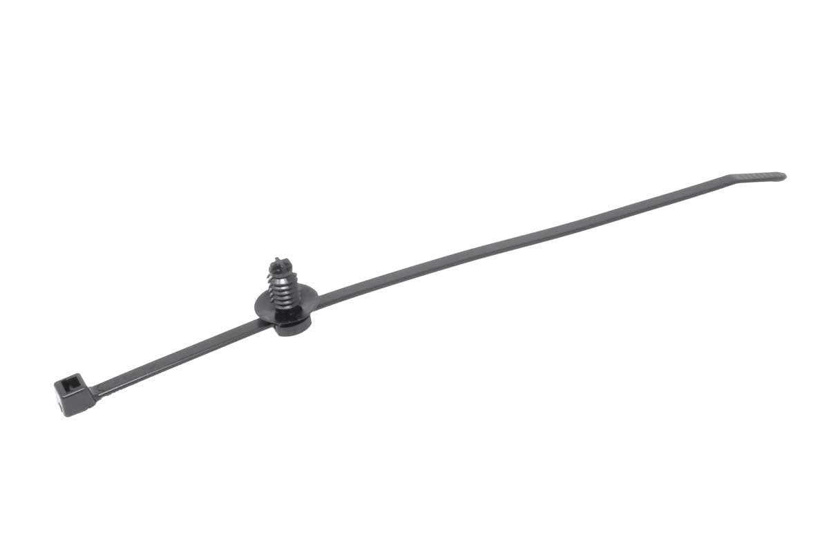 Cord Band