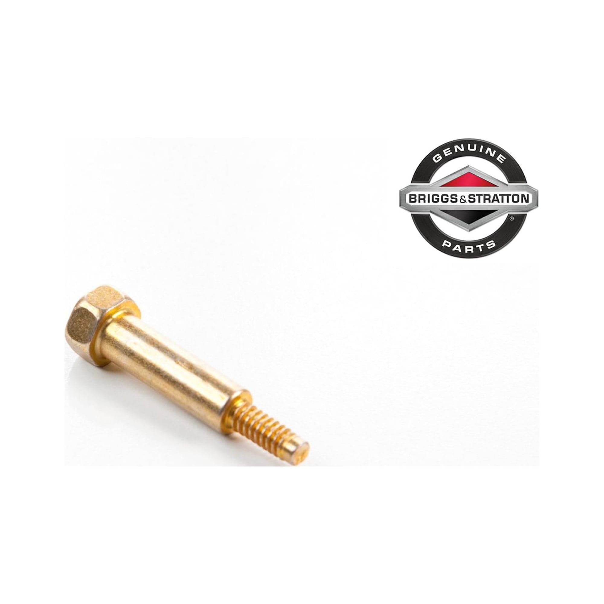 691630 SCREW