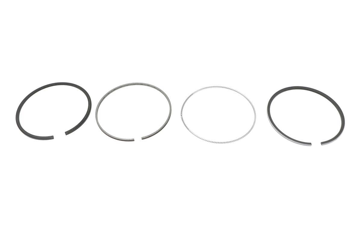 Ring Piston Assembly
