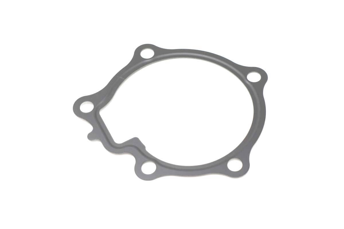 Gasket, Pump Water