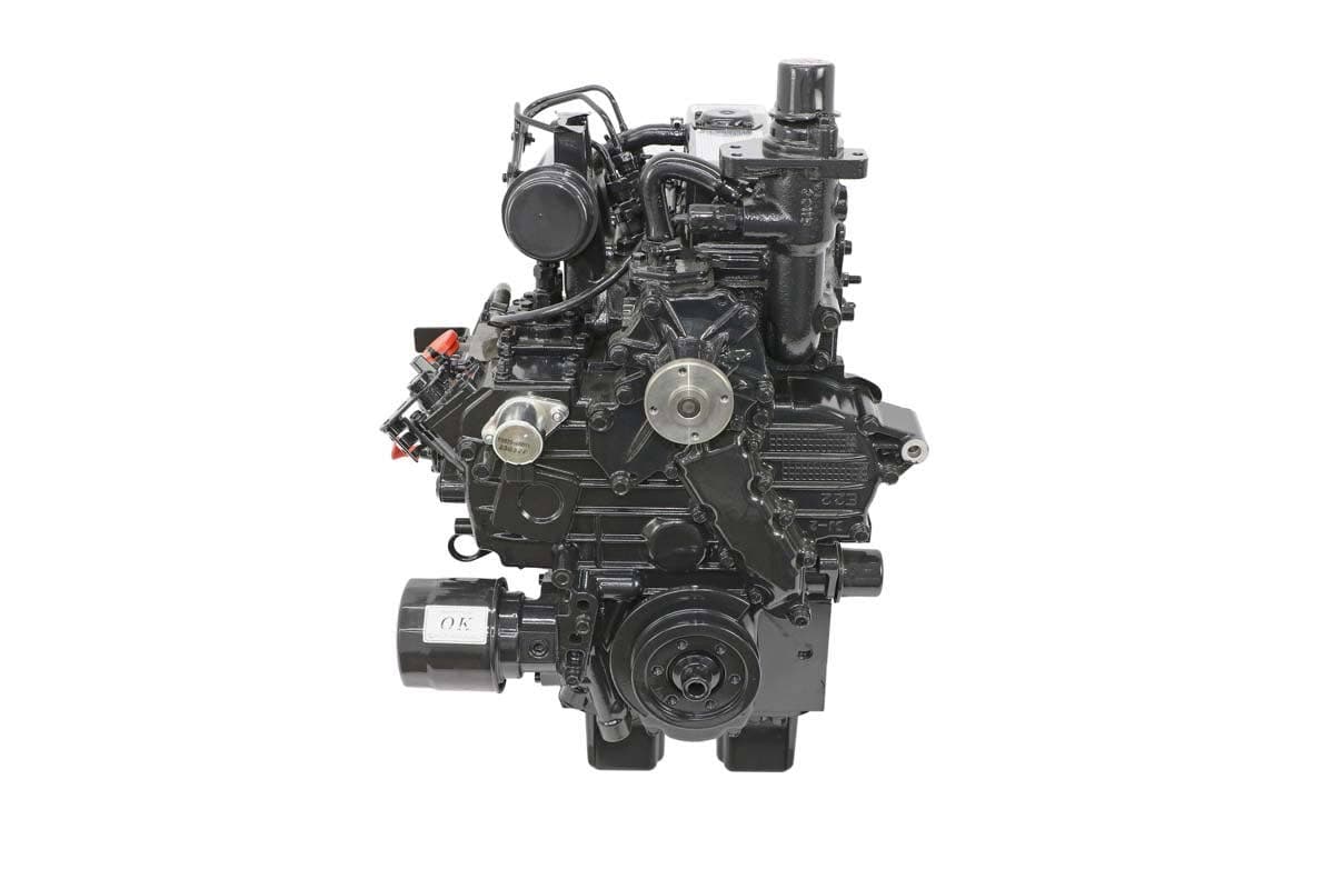 Engine, Daedong 3A165LWH