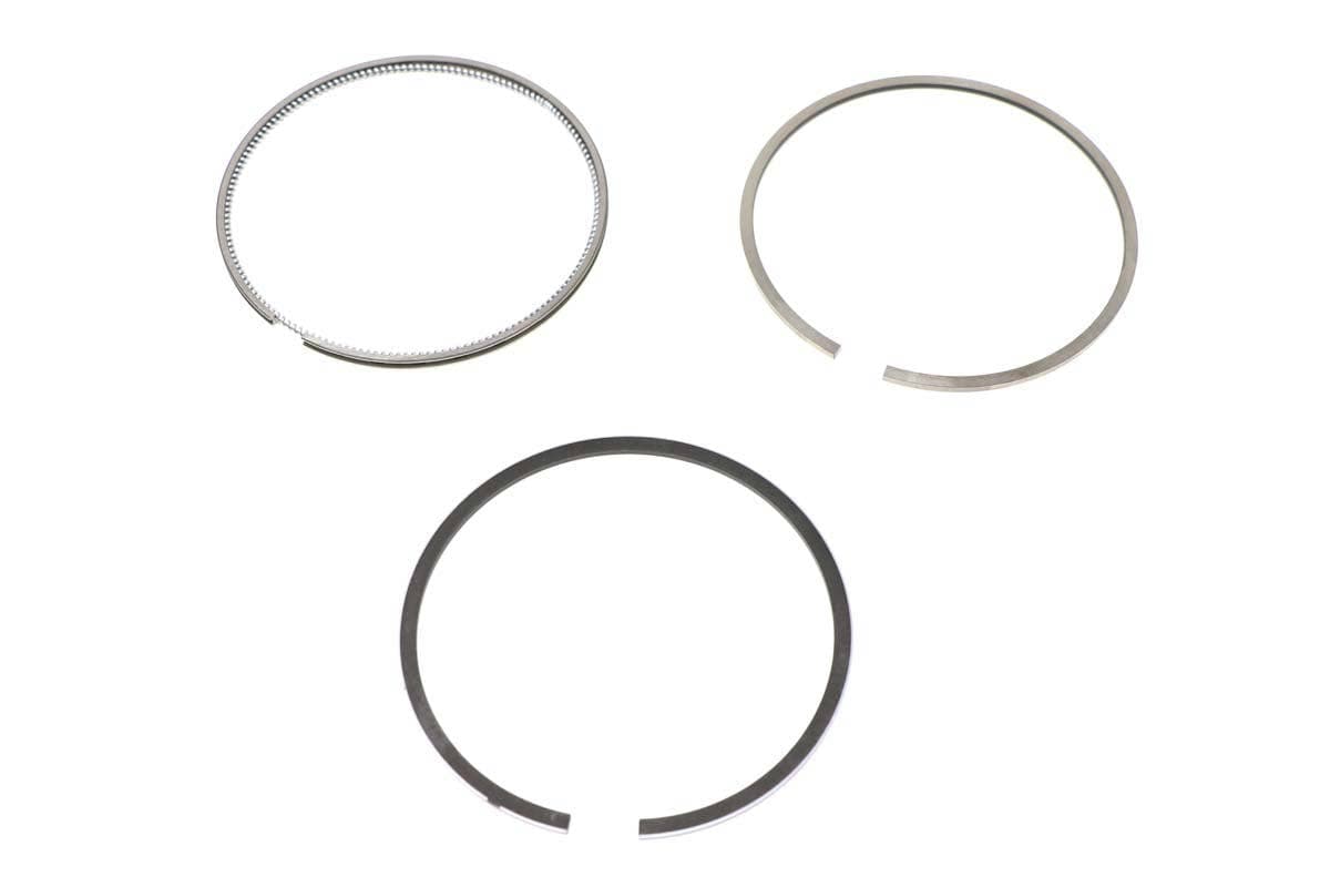 Ring Piston Assembly