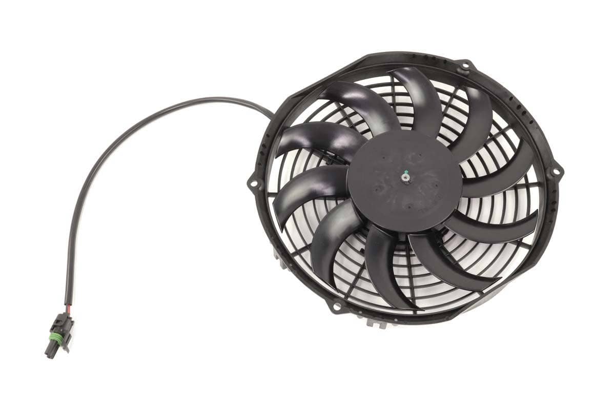 Fan