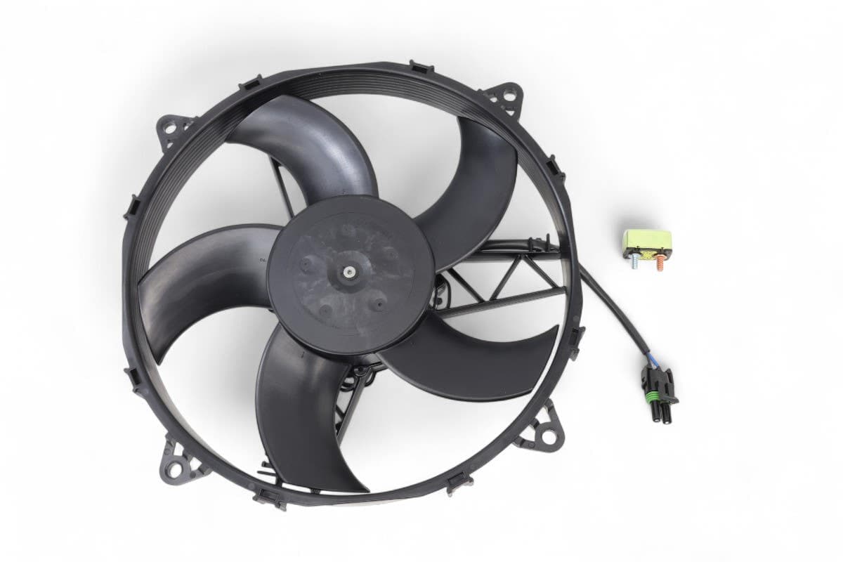 Kit Fan