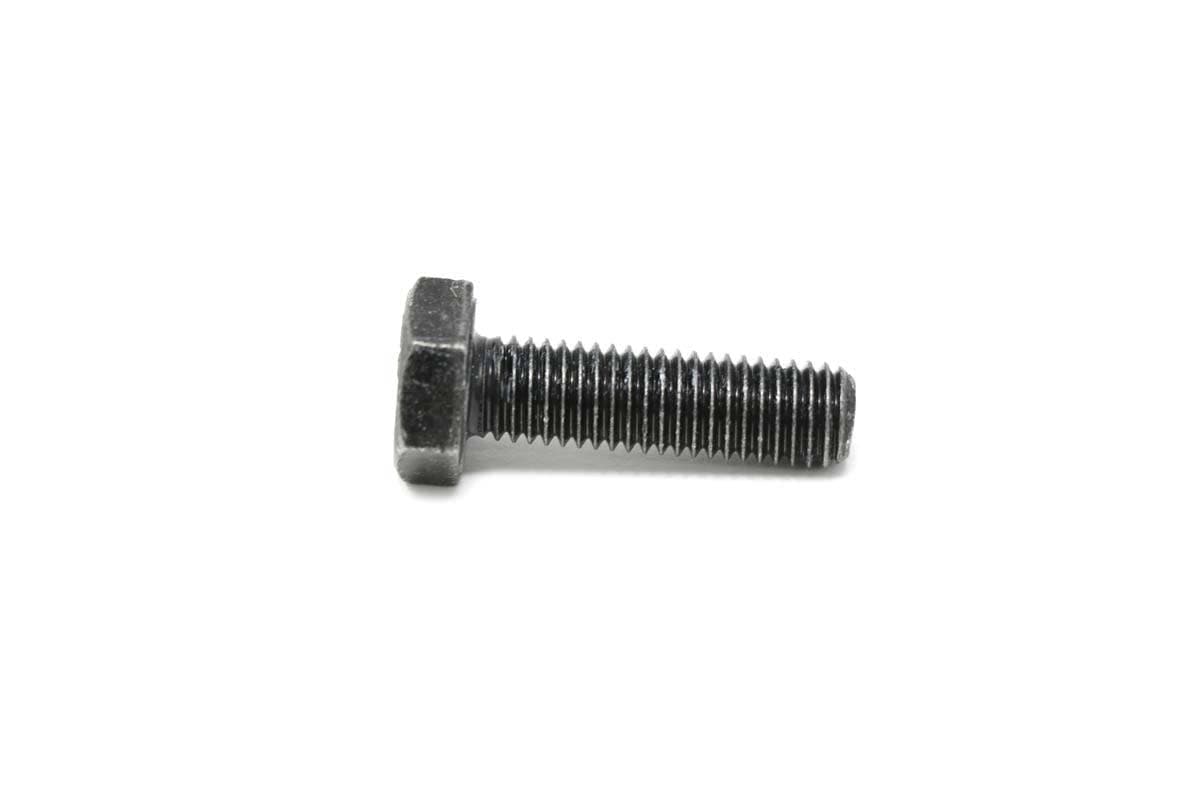 Screw