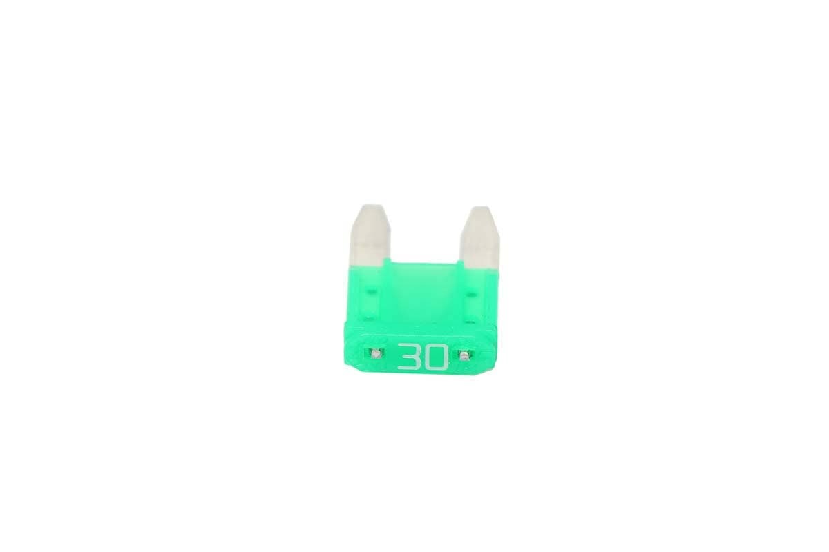 Fuse 30 Amp