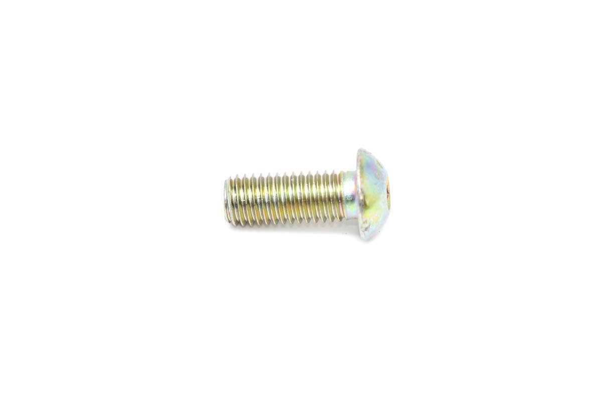 Screw