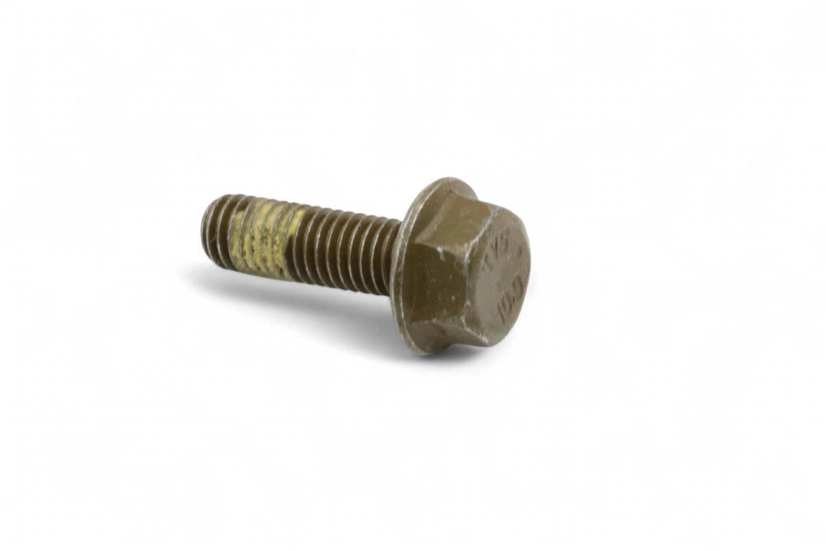 Screw