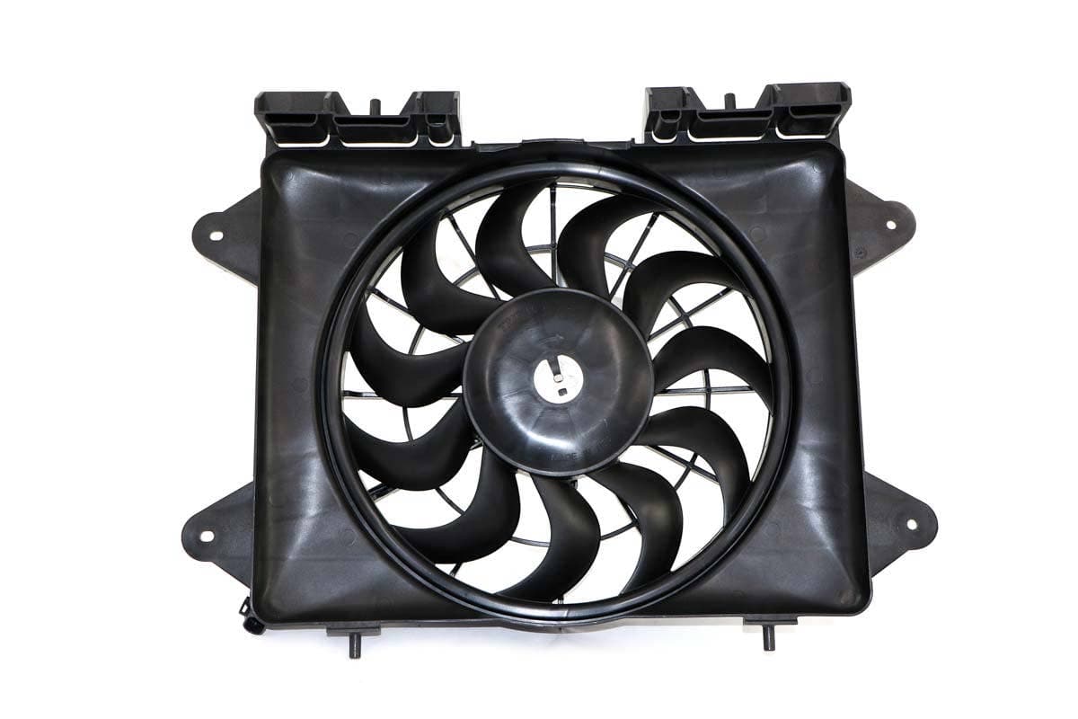 Shroud, Fan
