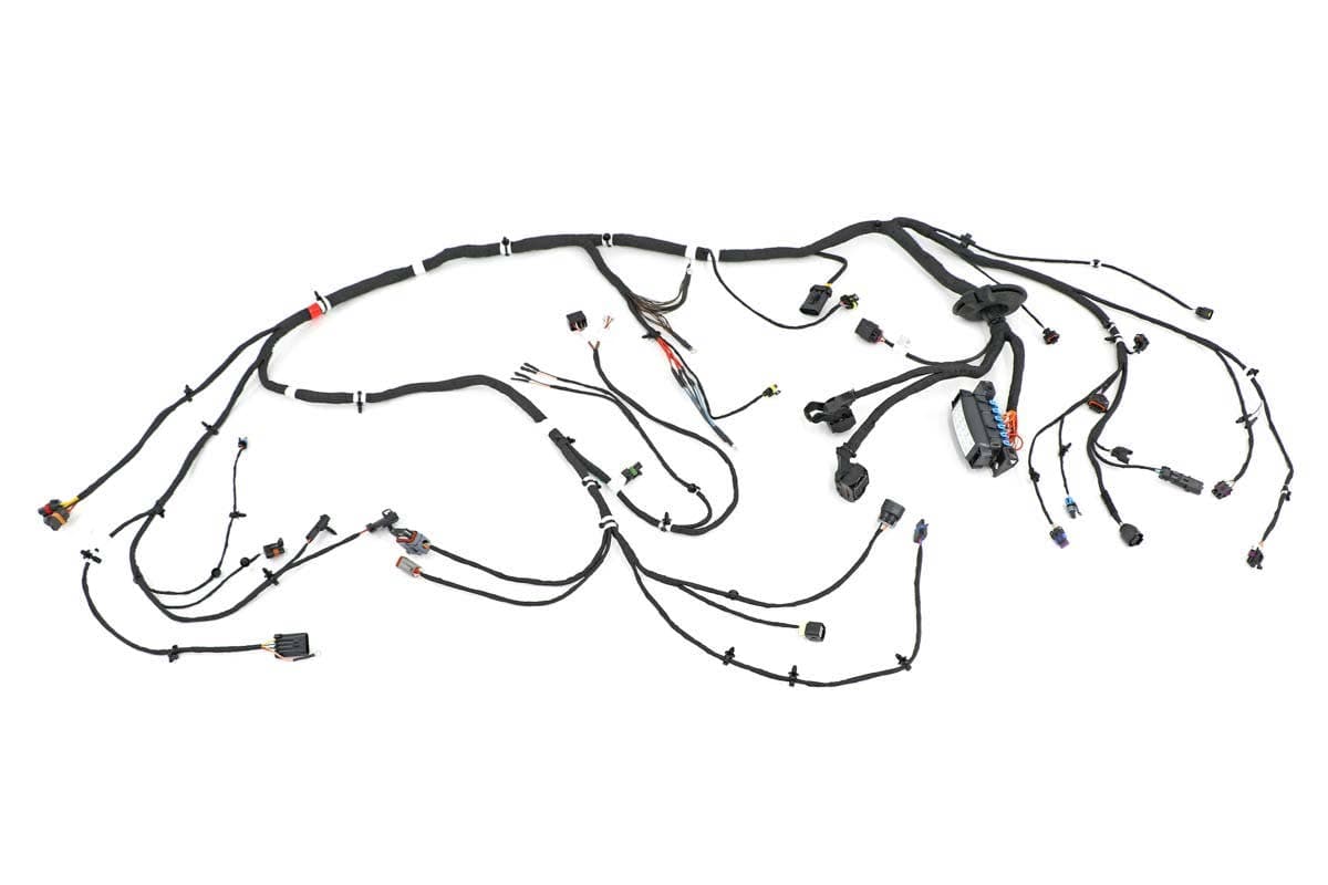 Harness, Chassis