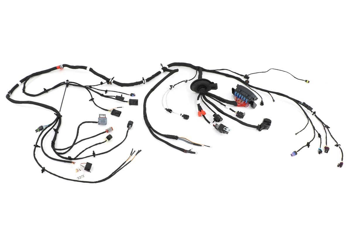 Harness, Chassis
