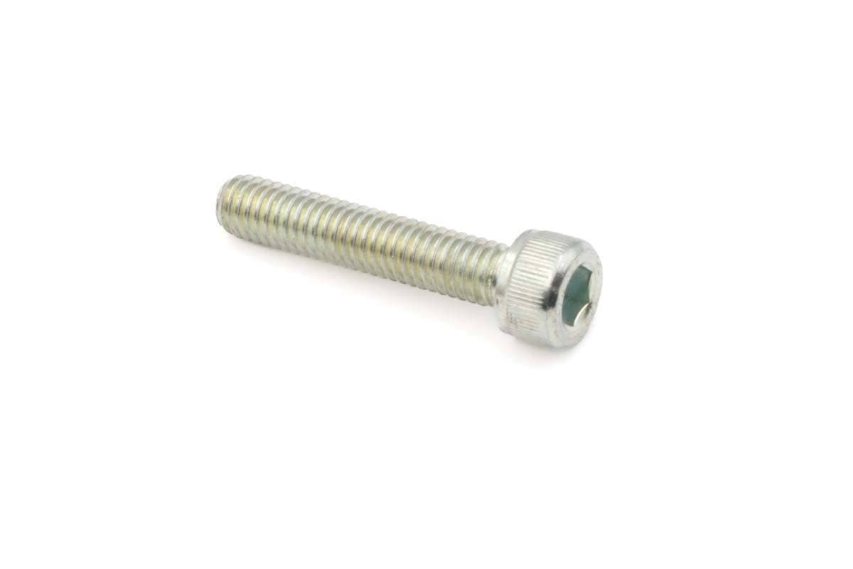 Screw
