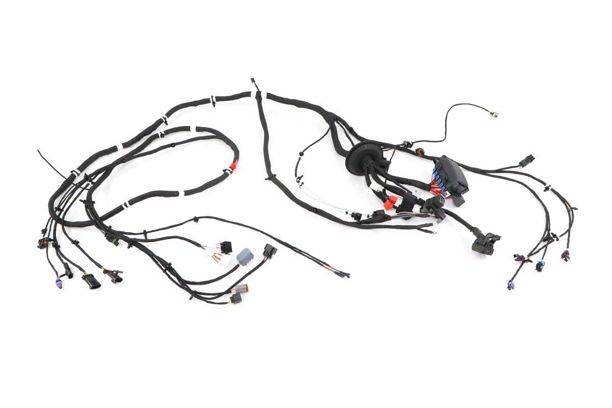 Harness, Chassis