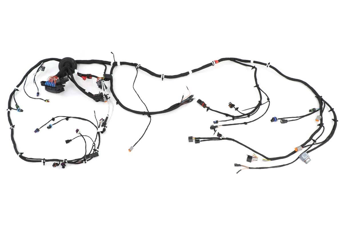 Harness, Chassis