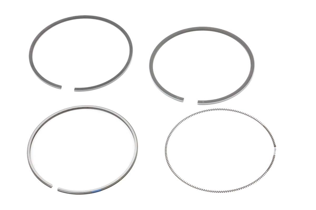 Ring Piston