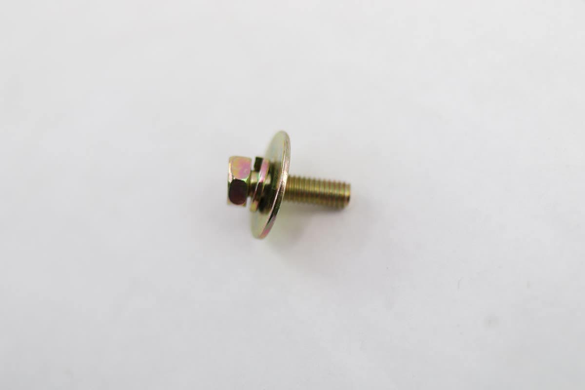 Bolt W/Washer