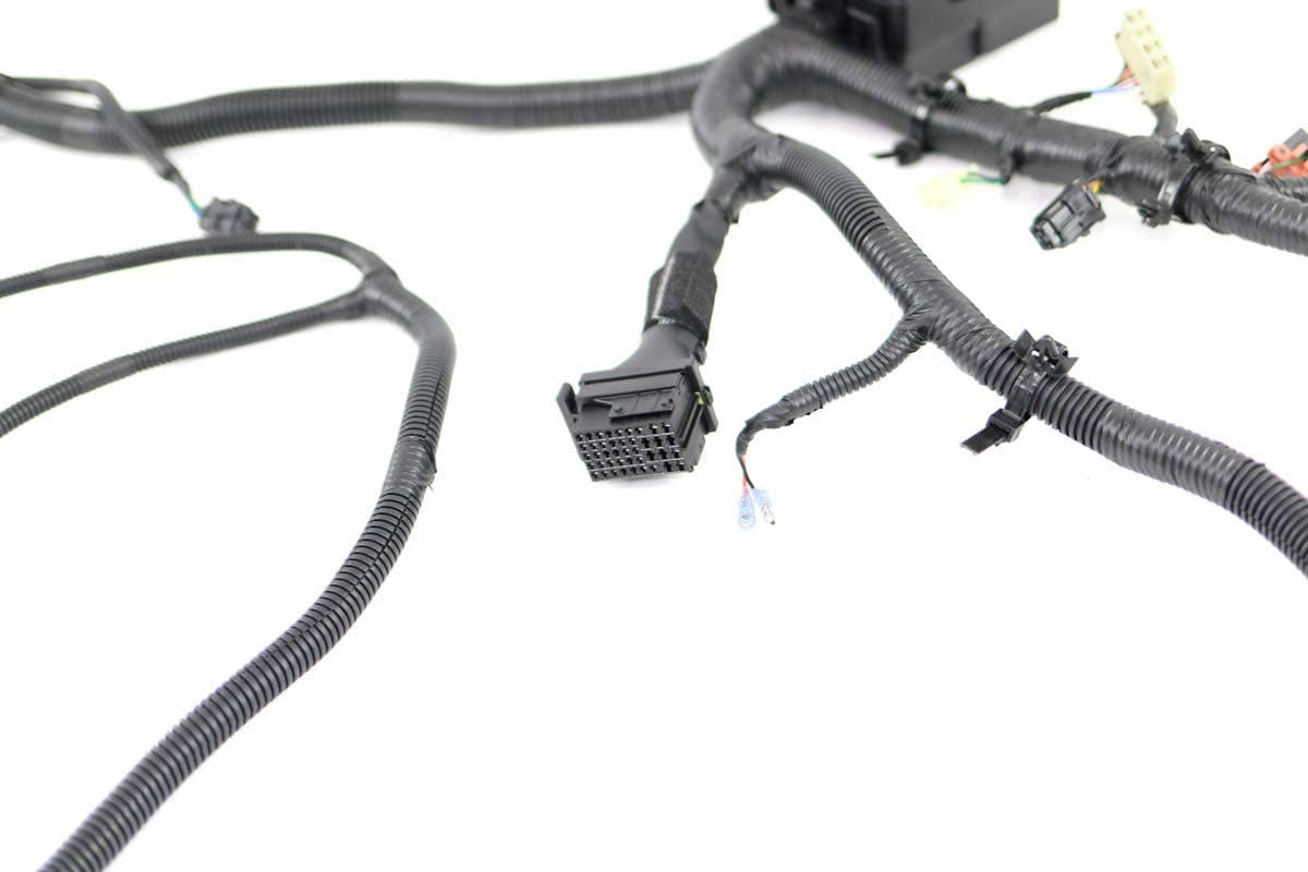 Harness Main