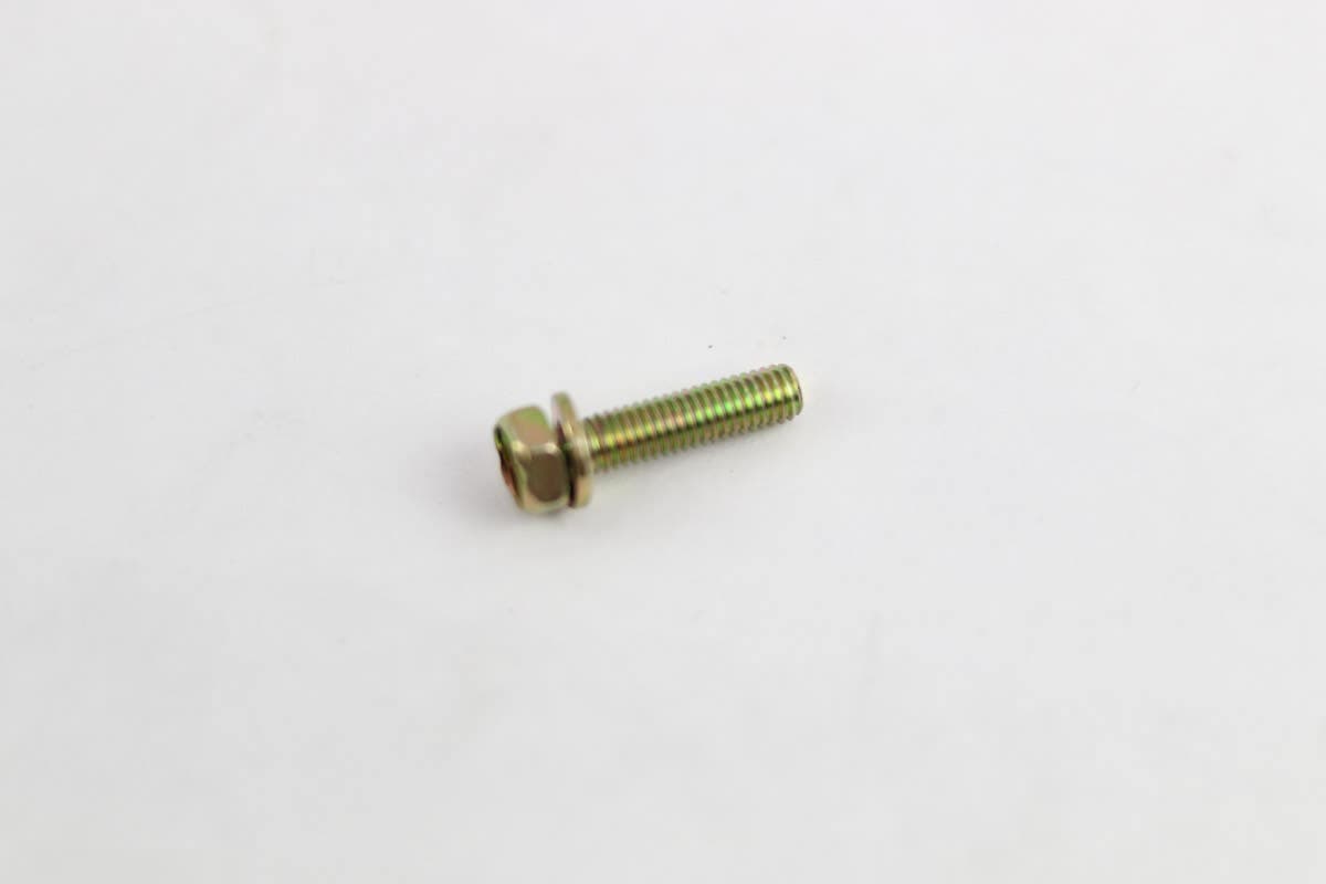 Bolt W/Washer