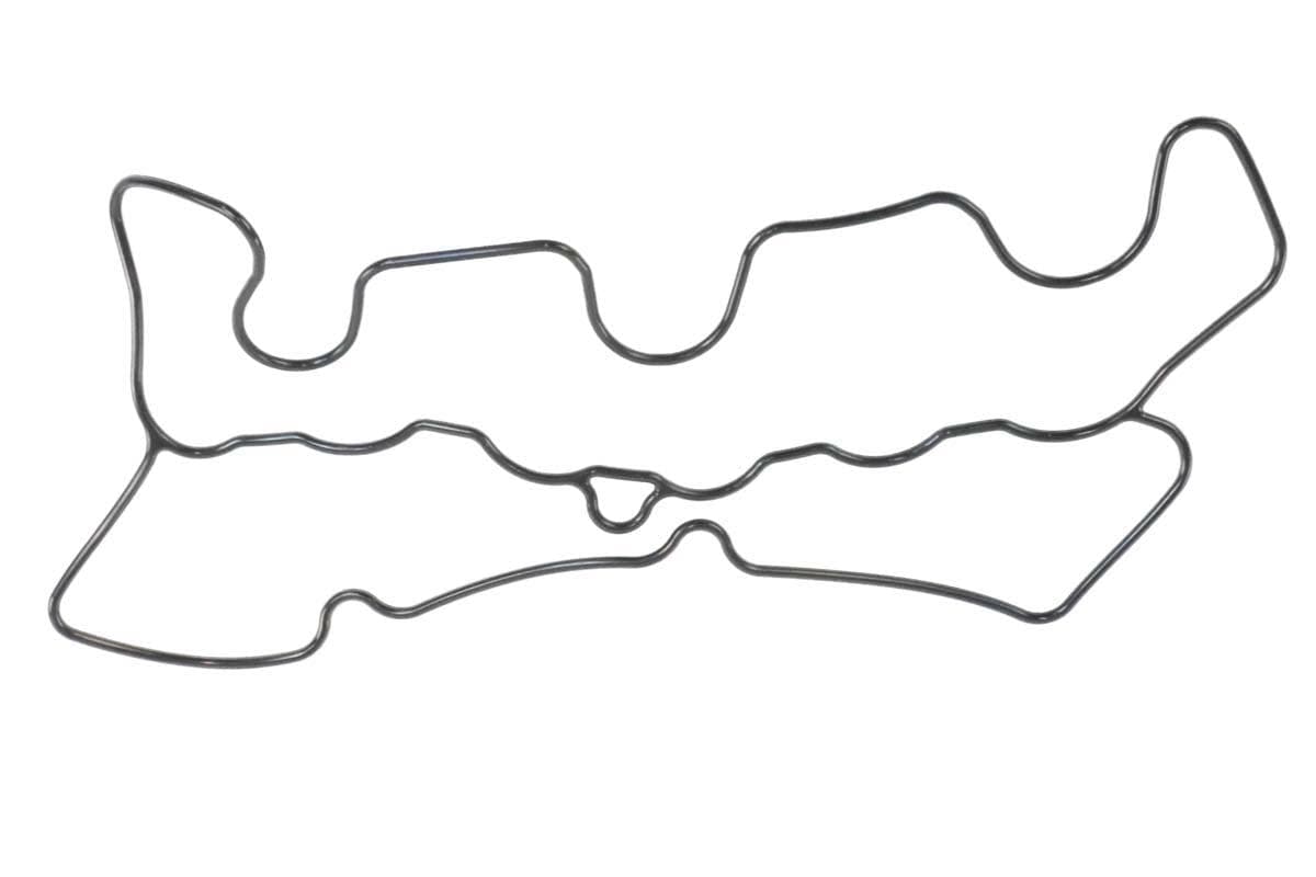 Gasket Seal