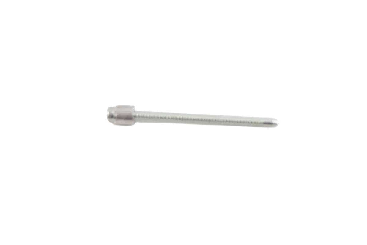 Plug Cavity