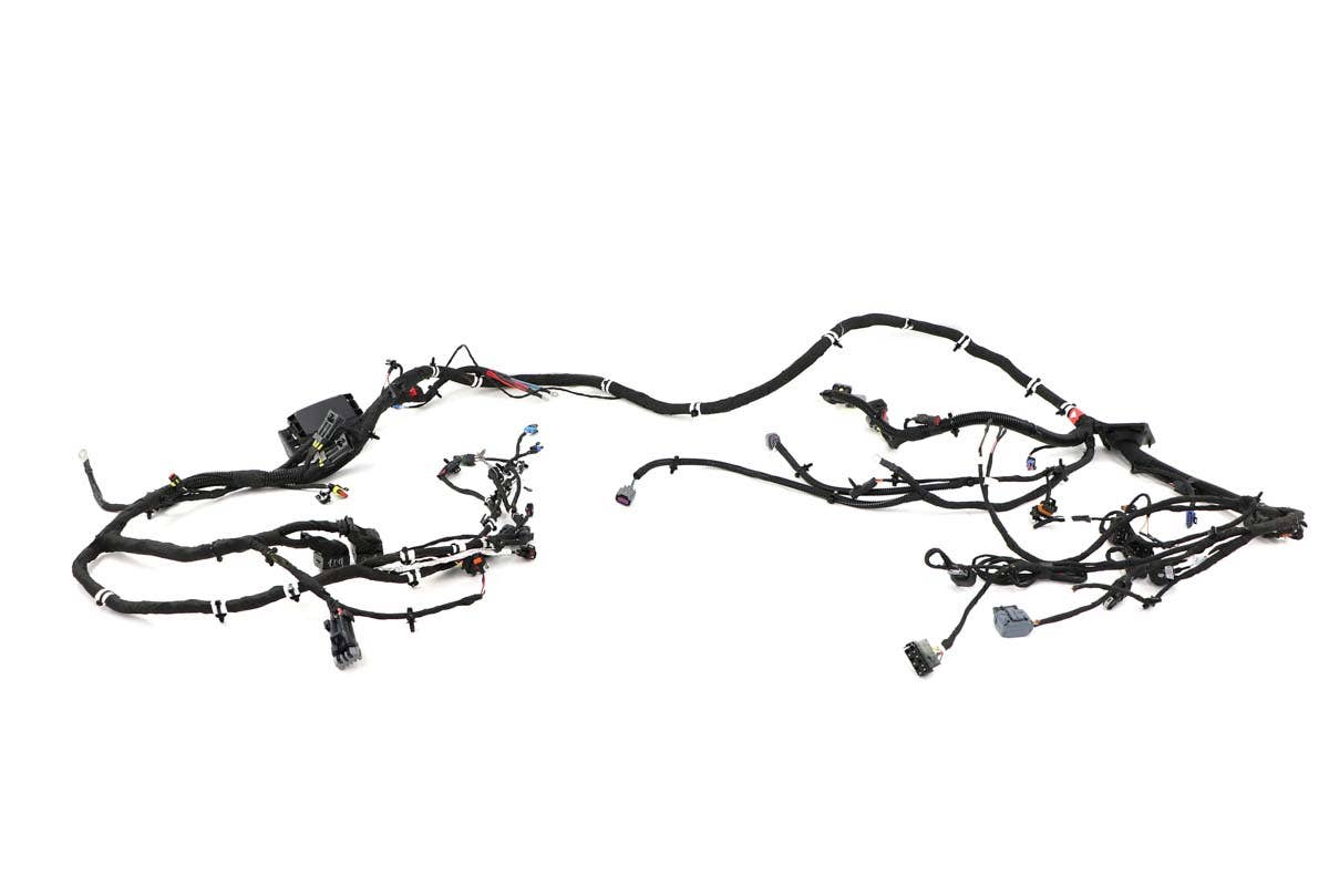 Harness Main
