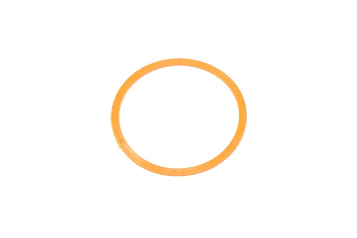 Ring Backup