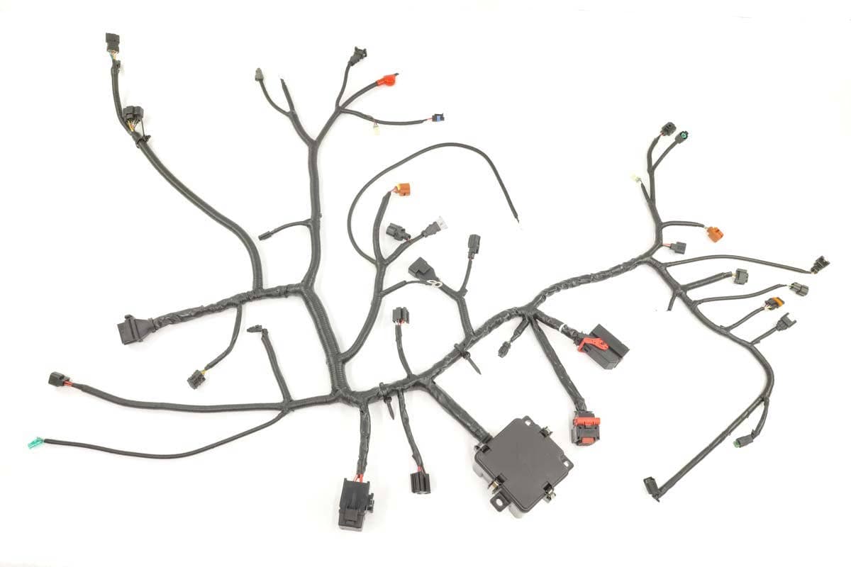 Harness Main