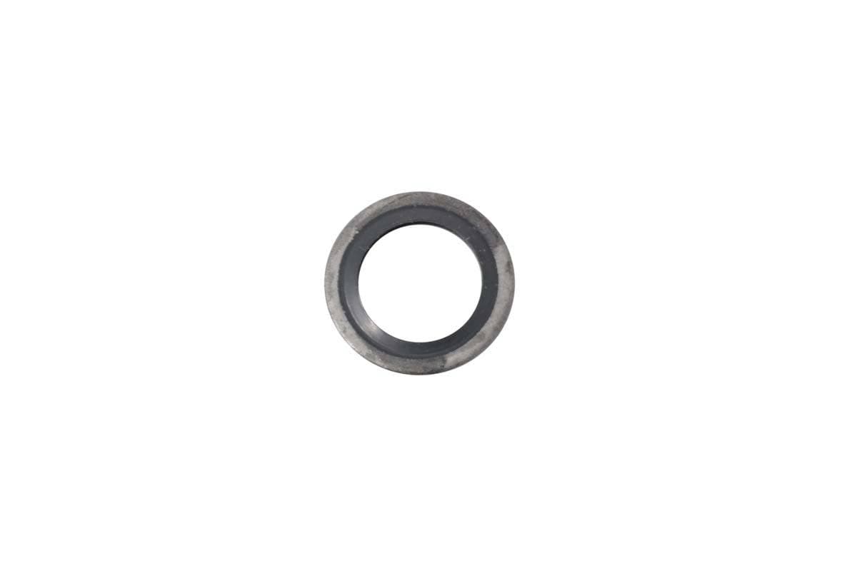 Seal Washer