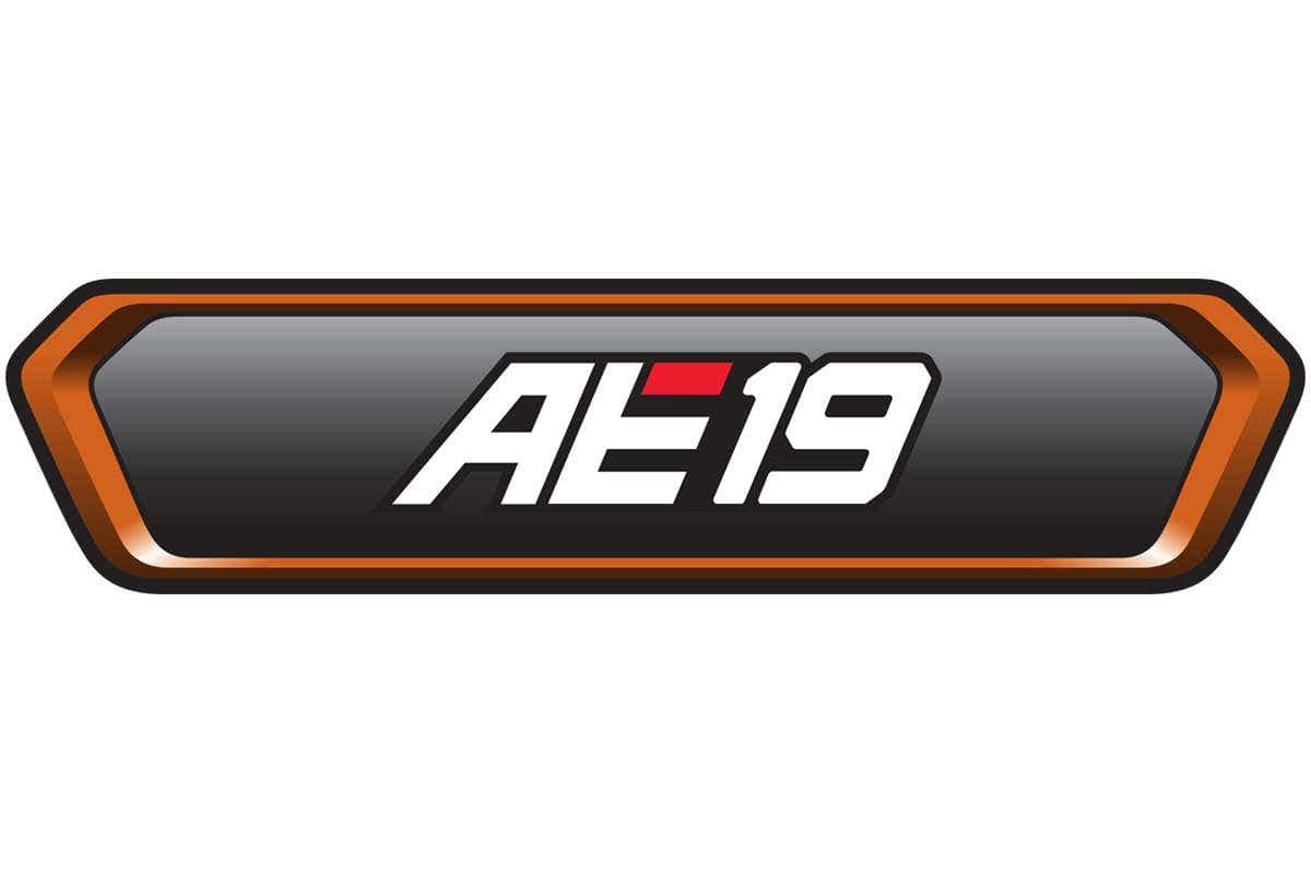 Decal Ae19