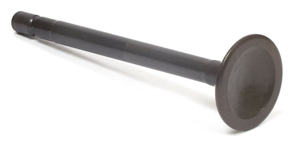 555552 Exhaust Valve