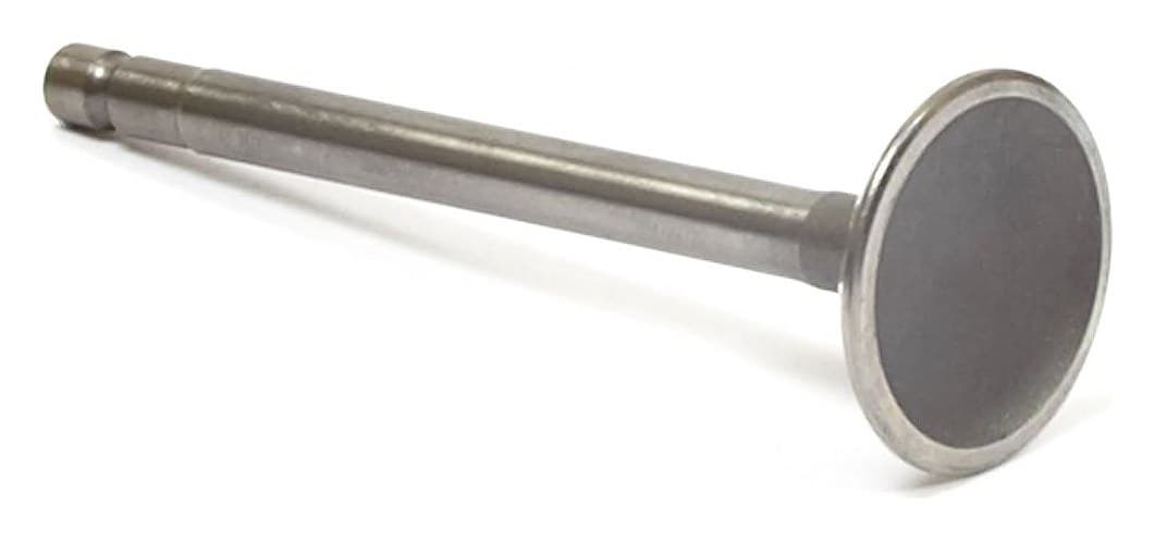 557017 Intake Valve