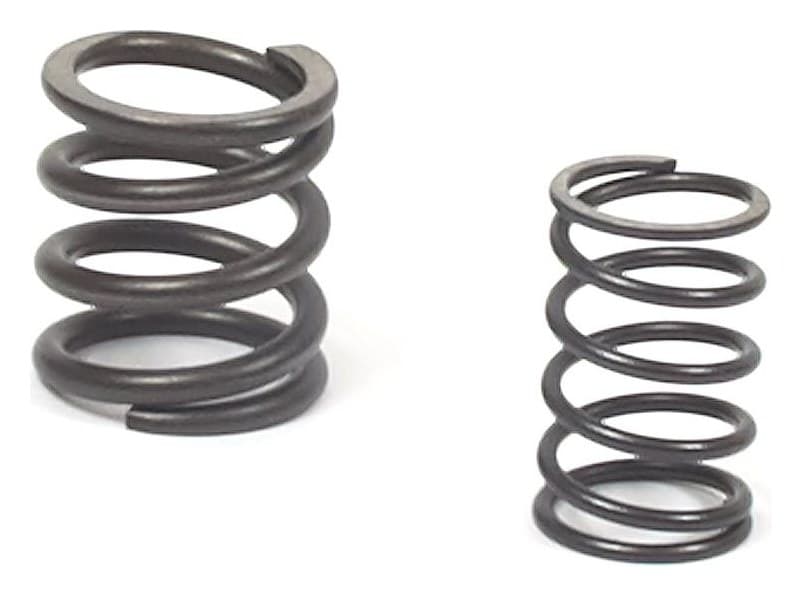 557024 Valve Spring