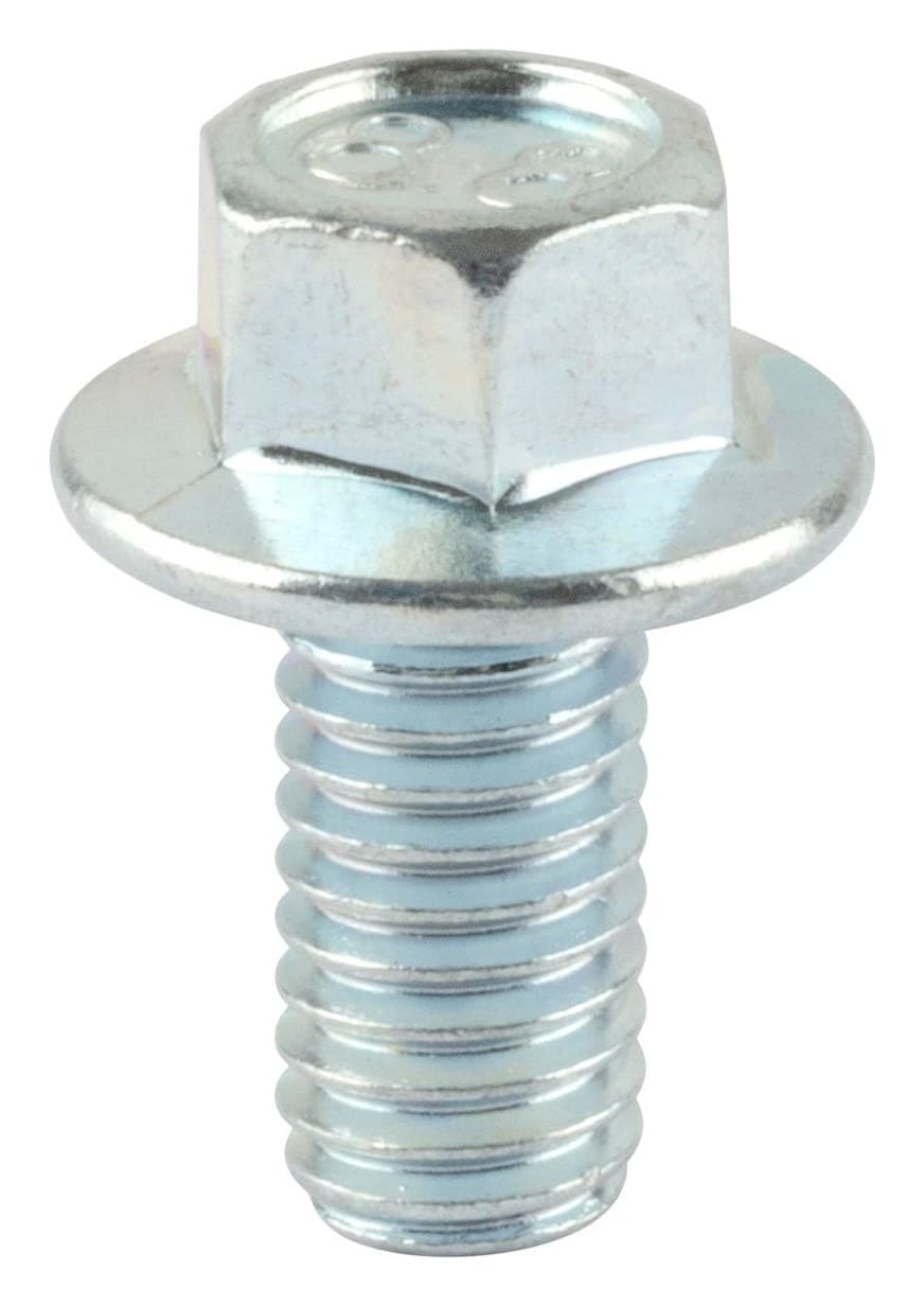 590850 Screw