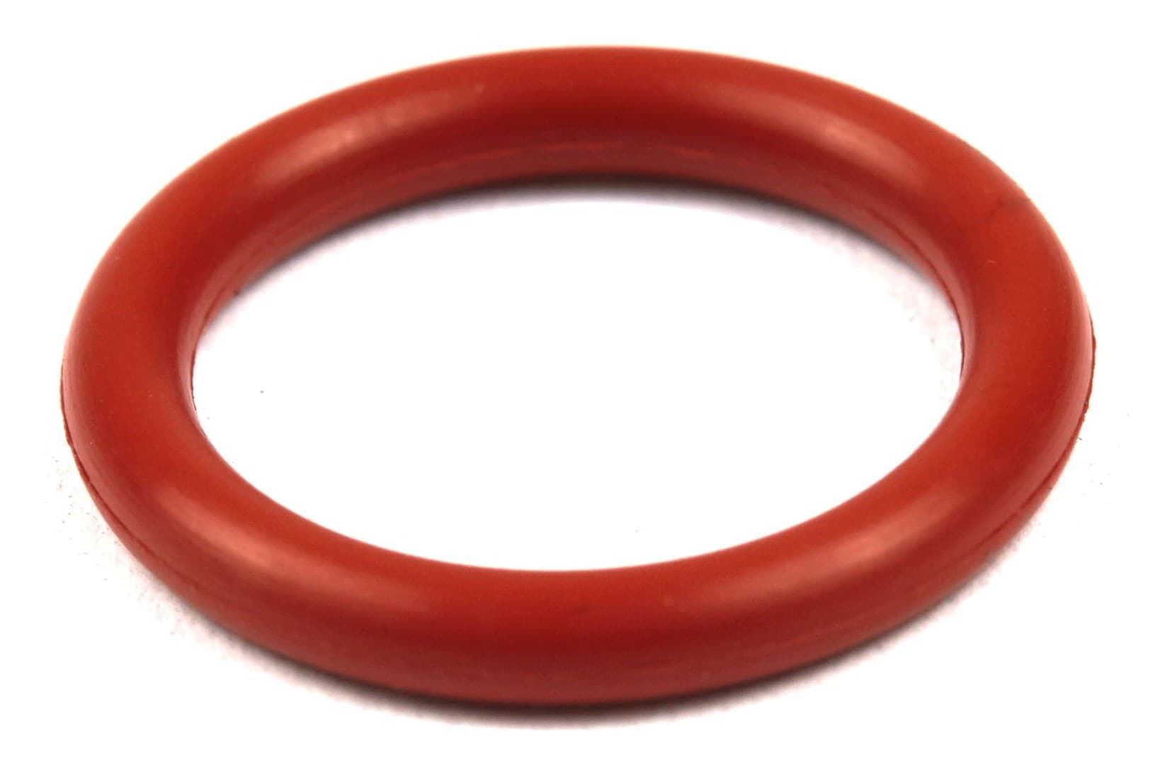 691876 O-Ring Seal