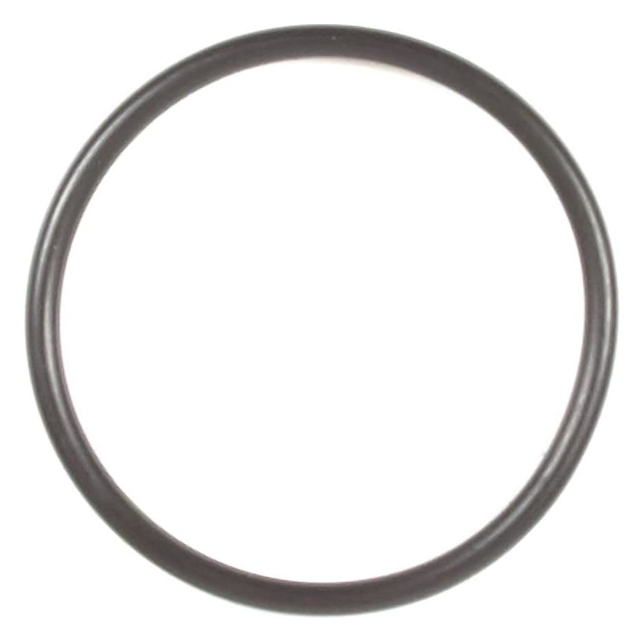 697123 O-Ring Seal