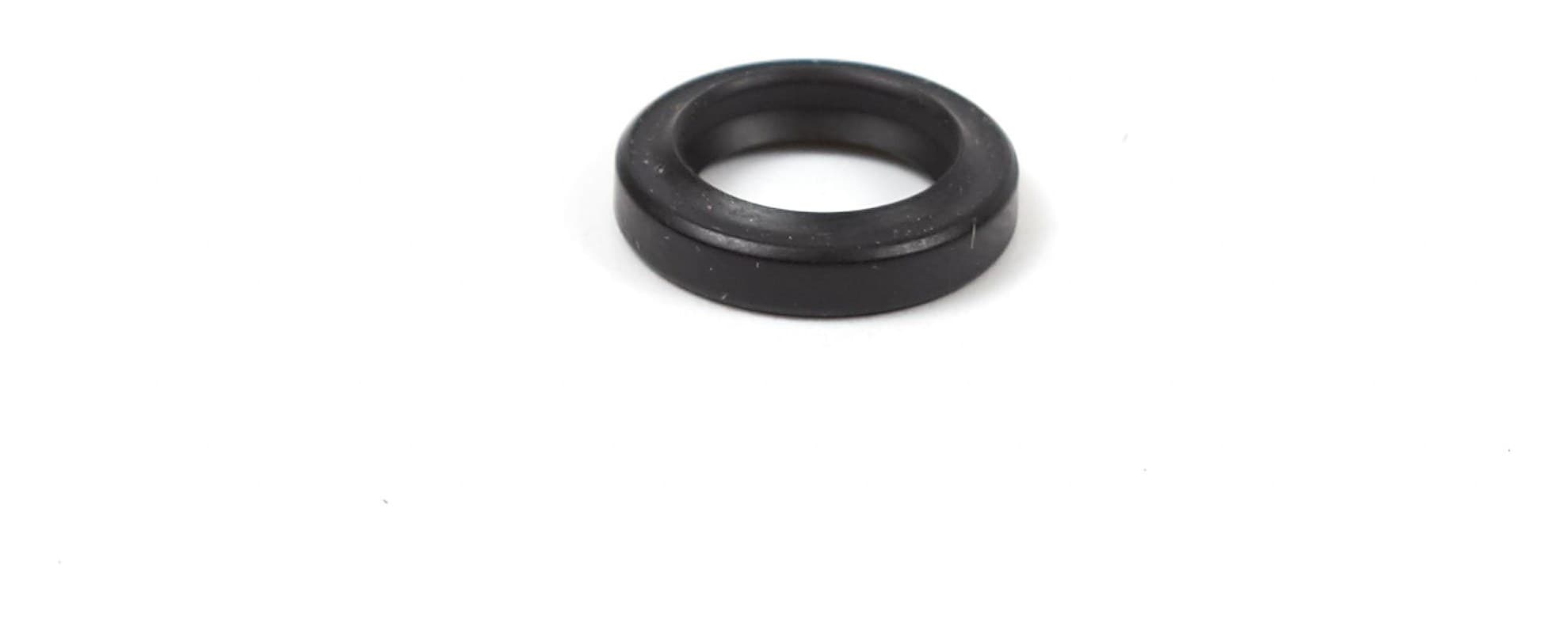 790574 Governor Shaft Seal