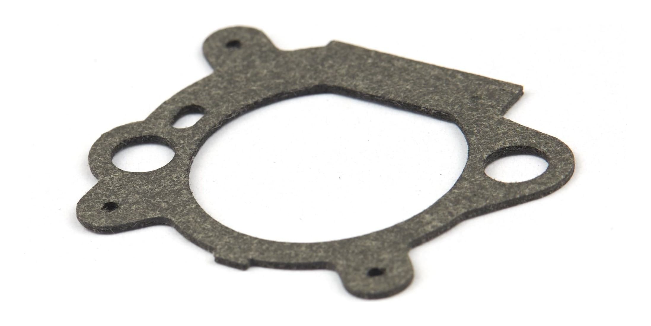 795629 Air Cleaner Gasket