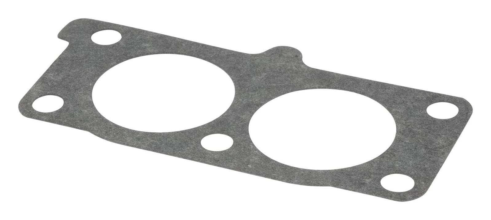 841882 Intake Gasket