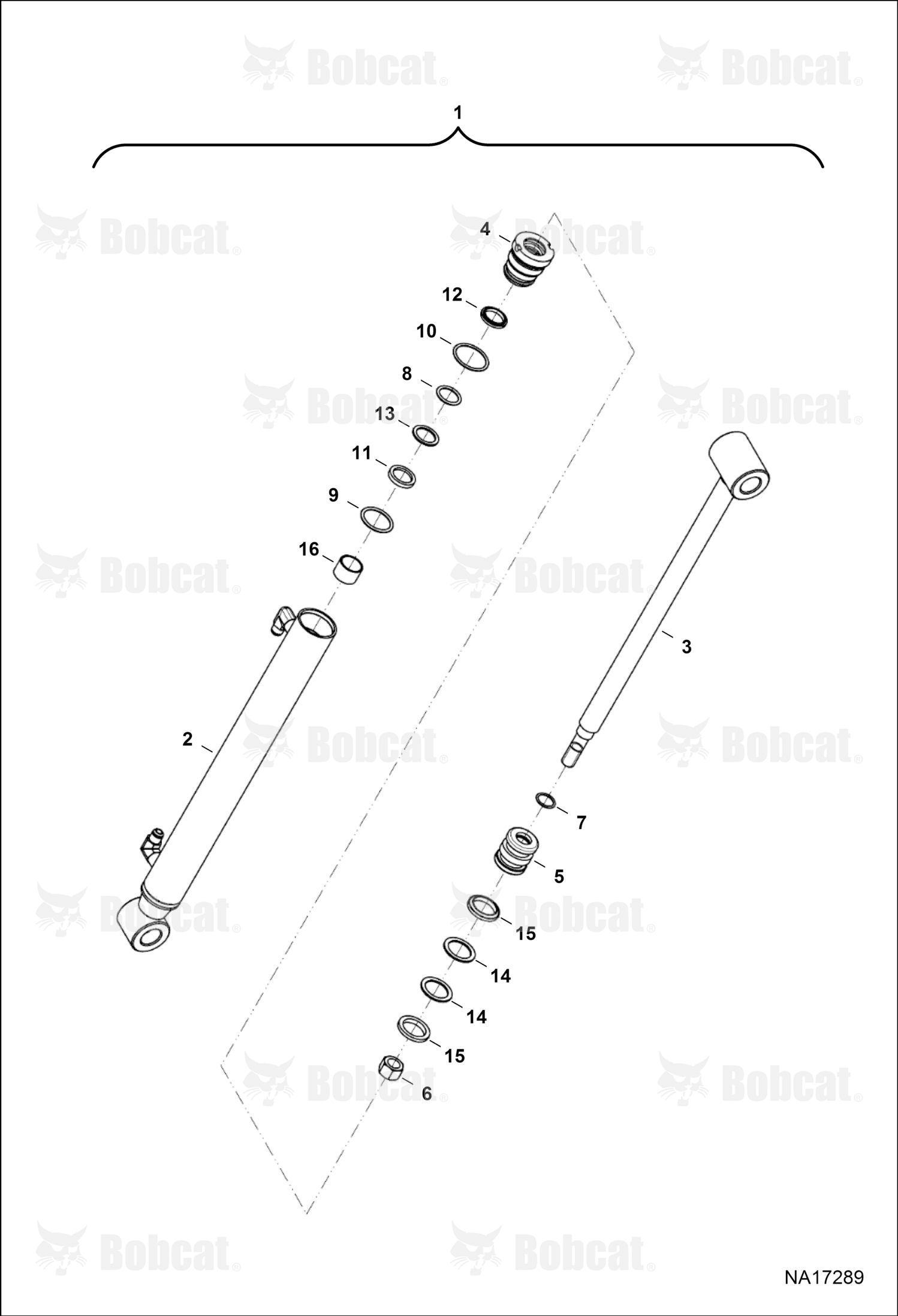 Piston Cylinder