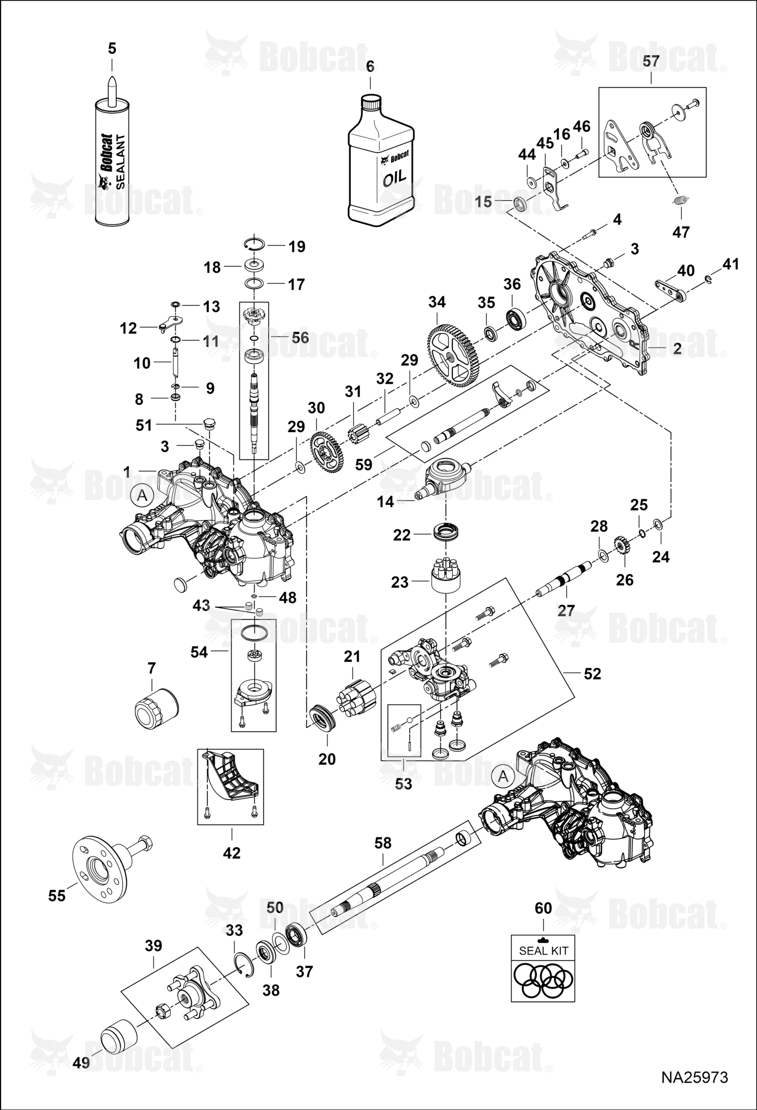 Gear Motor