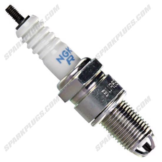 7517 BUR6ET SPARK PLUG