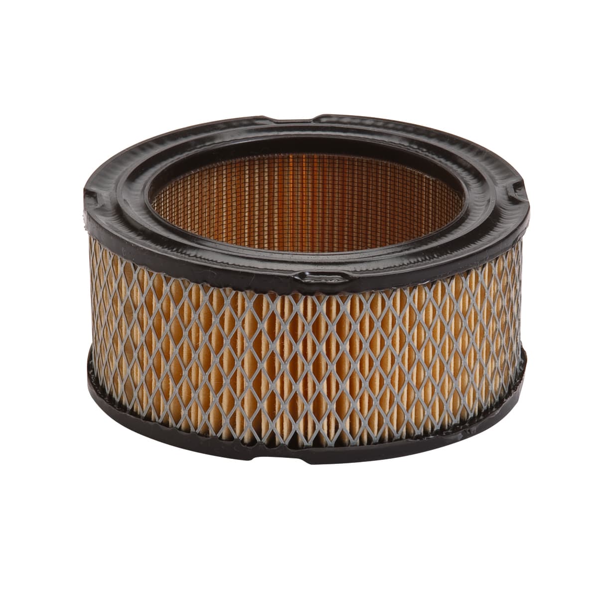 30-022 AIR FILTER BRIGGS