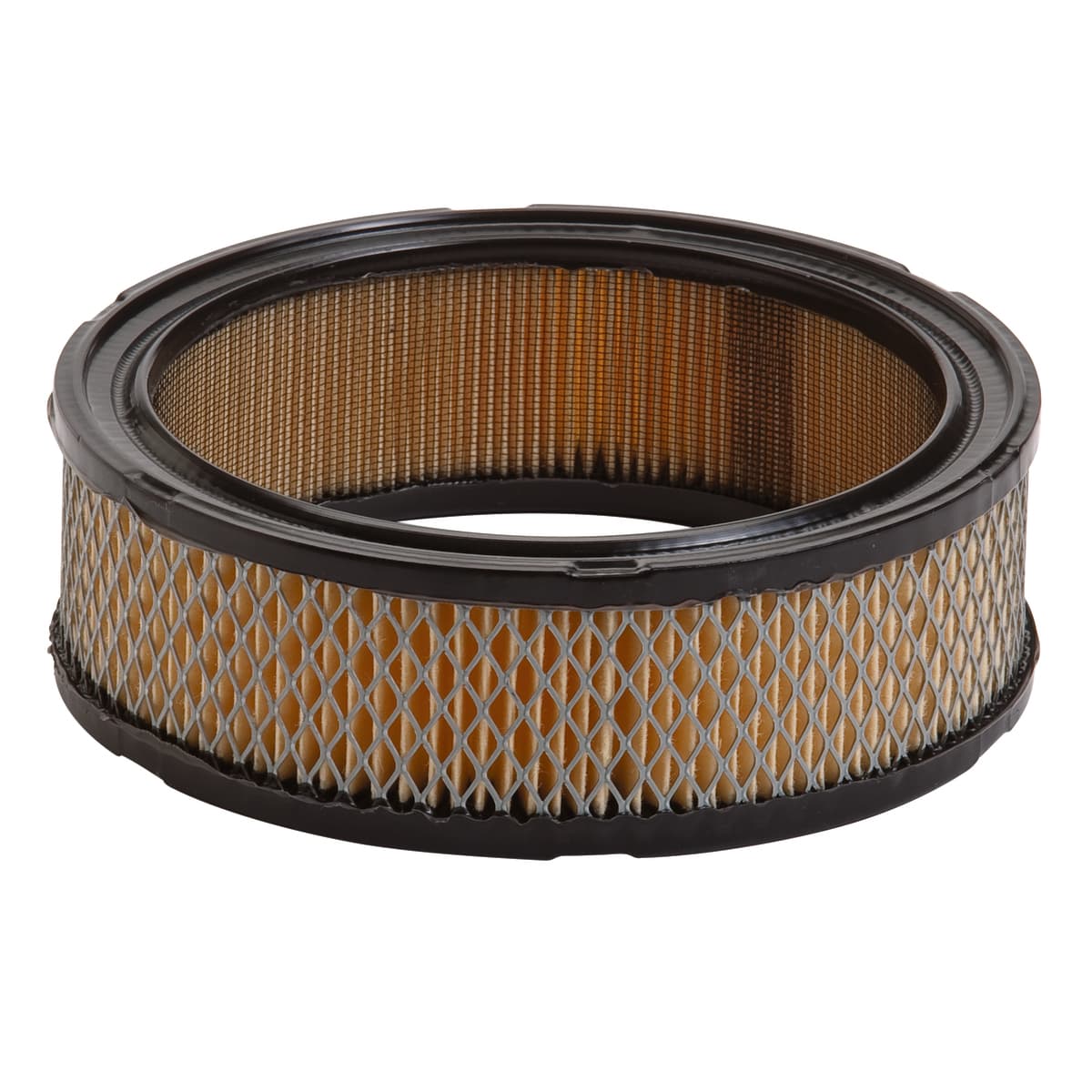 30-101 AIR FILTER BRIGGS