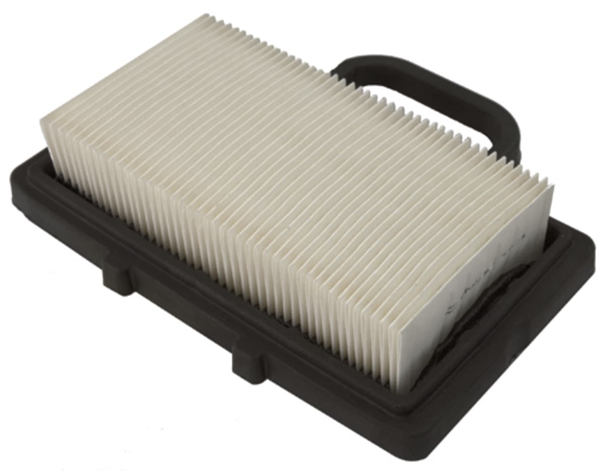 30-139 FILTER,AIR BRIGGS