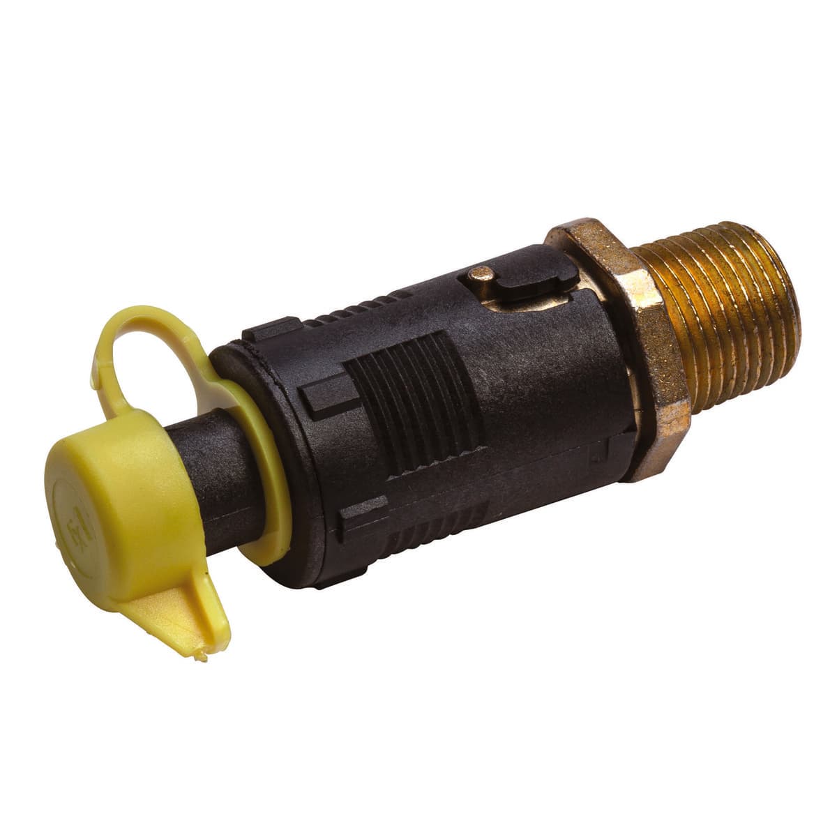 45-118 OIL DRAIN VALVE WITH CAP